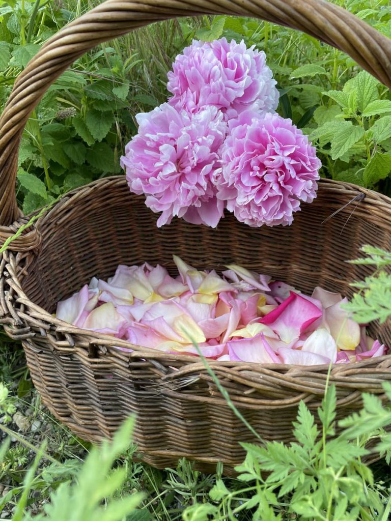 Confiture de fleur dans le haut-rhin