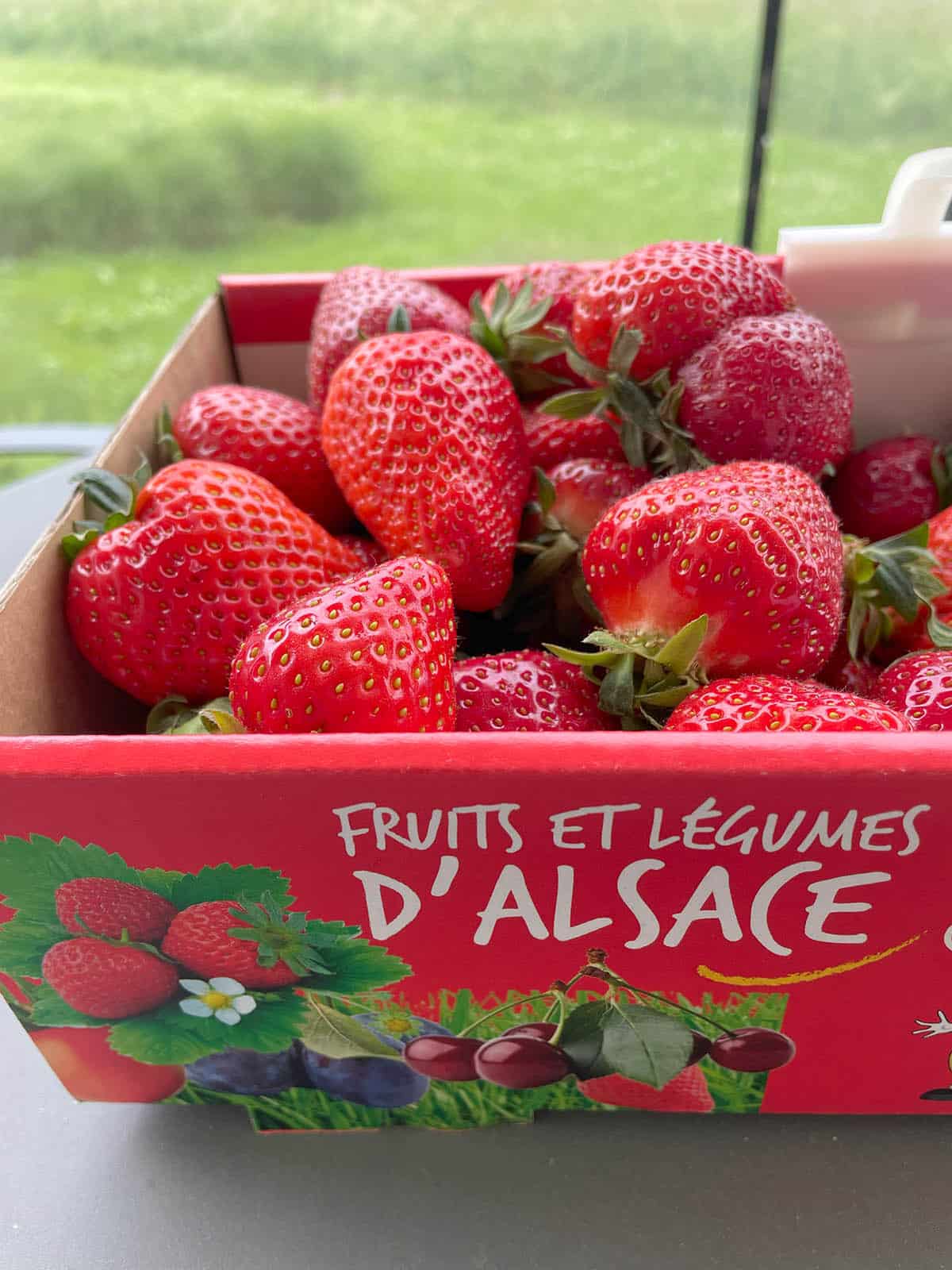 fraises pour confiture