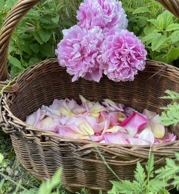 Confiture de fleur dans le haut-rhin