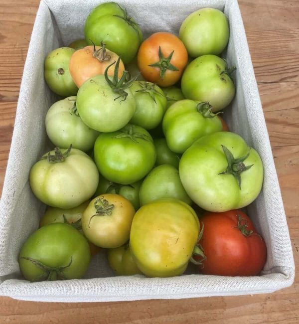 tomates_confiture_haut-rhin